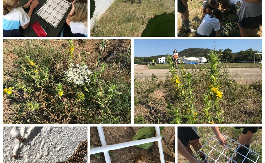 Be Funky collage 2021 06 11 T125923 561