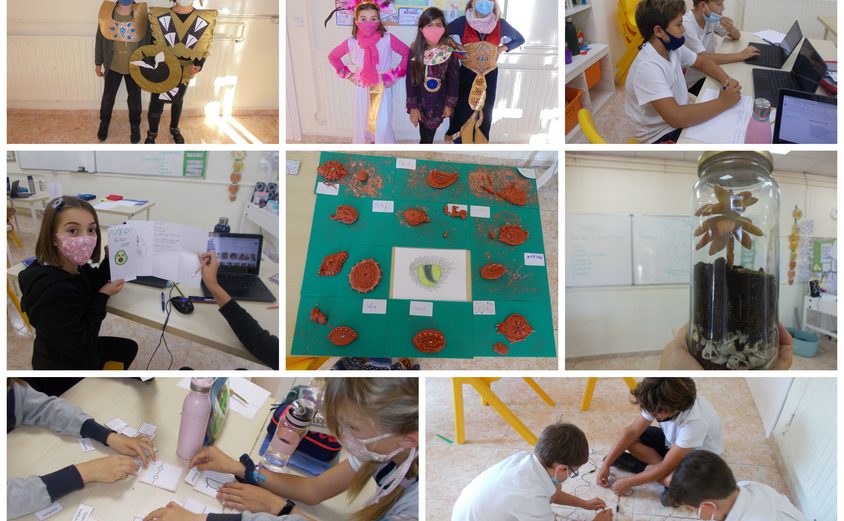 Be Funky collage 2021 06 25 T111322 657