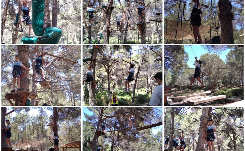 Be Funky collage 2021 06 25 T123915 645