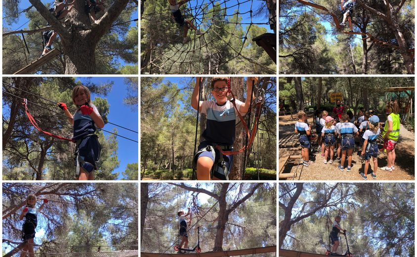 Be Funky collage 2021 06 25 T124010 800