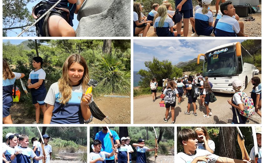 Be Funky collage 2021 06 25 T124413 834