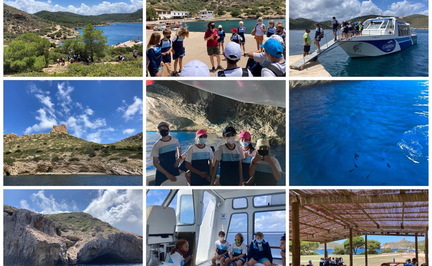 Be Funky collage 2021 06 25 T124755 169