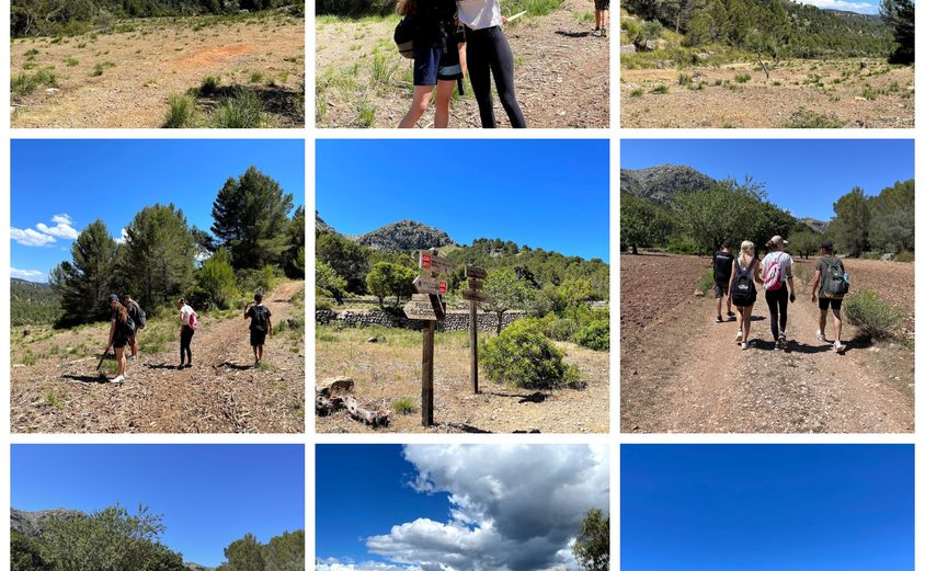 Be Funky collage 2021 06 25 T143730 182