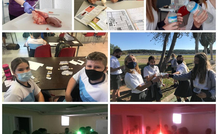 Be Funky collage 2021 06 25 T145406 542