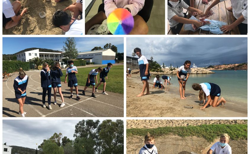 Be Funky collage 2021 06 25 T145438 809