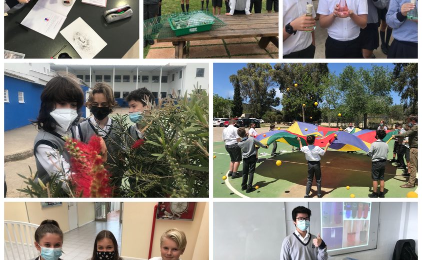 Be Funky collage 2021 06 25 T145541 163