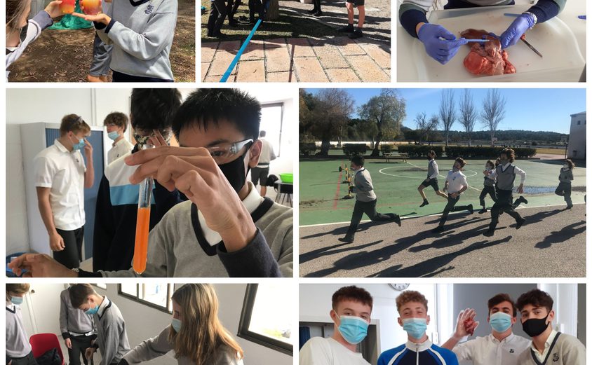 Be Funky collage 2021 06 25 T145629 686