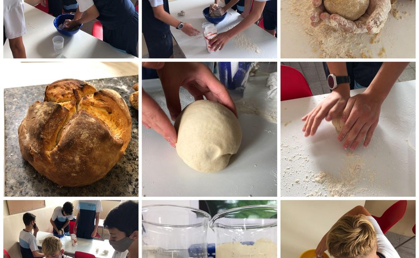 Be Funky collage 2021 09 10 T113838 930