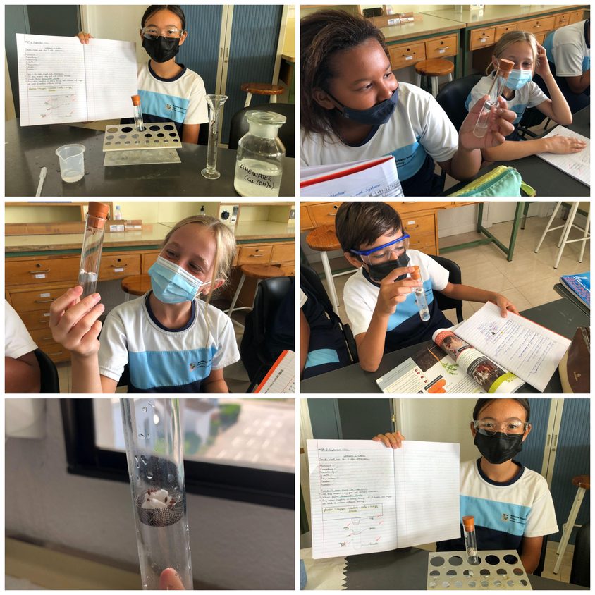 Be Funky collage 2021 09 10 T114208 609