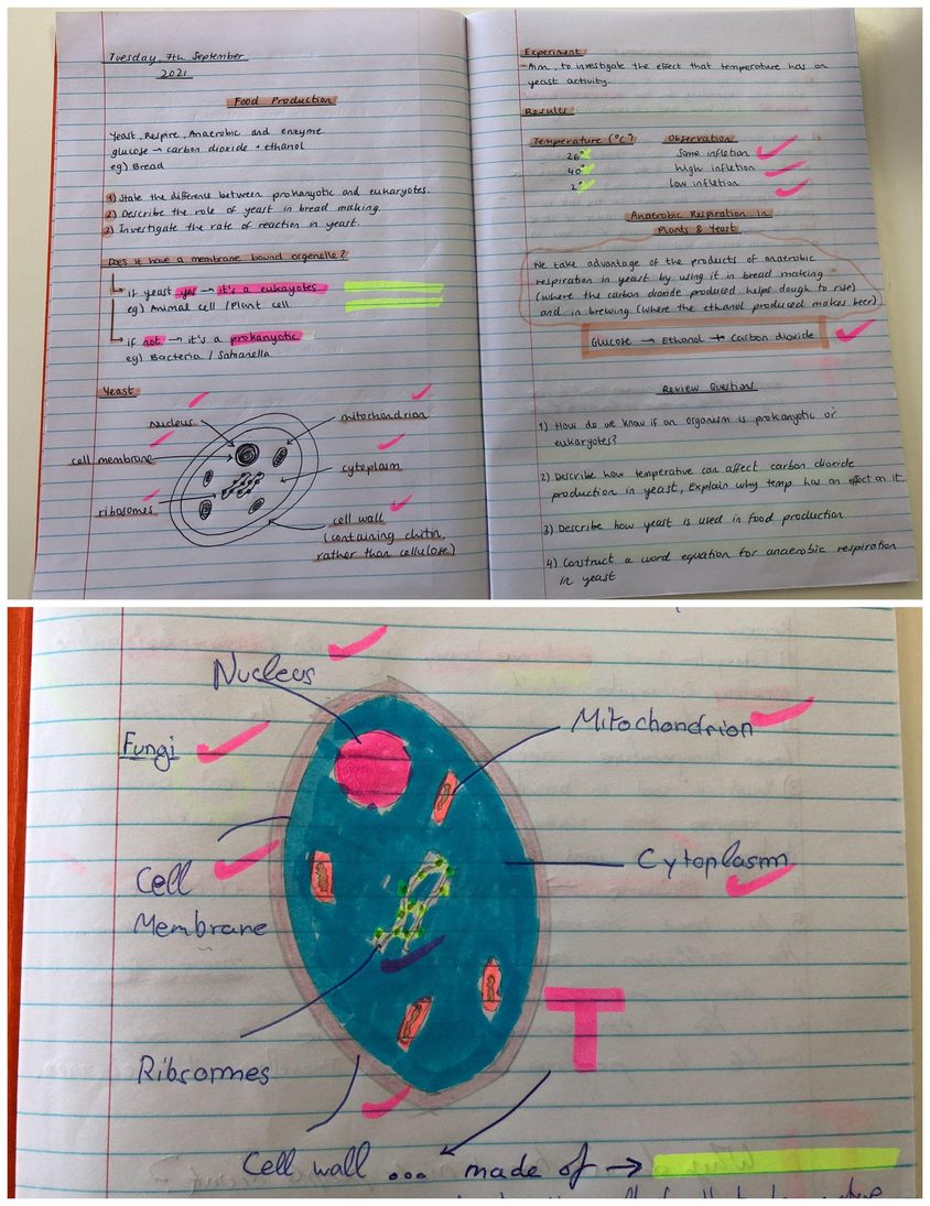 Be Funky collage 2021 09 10 T114252 946