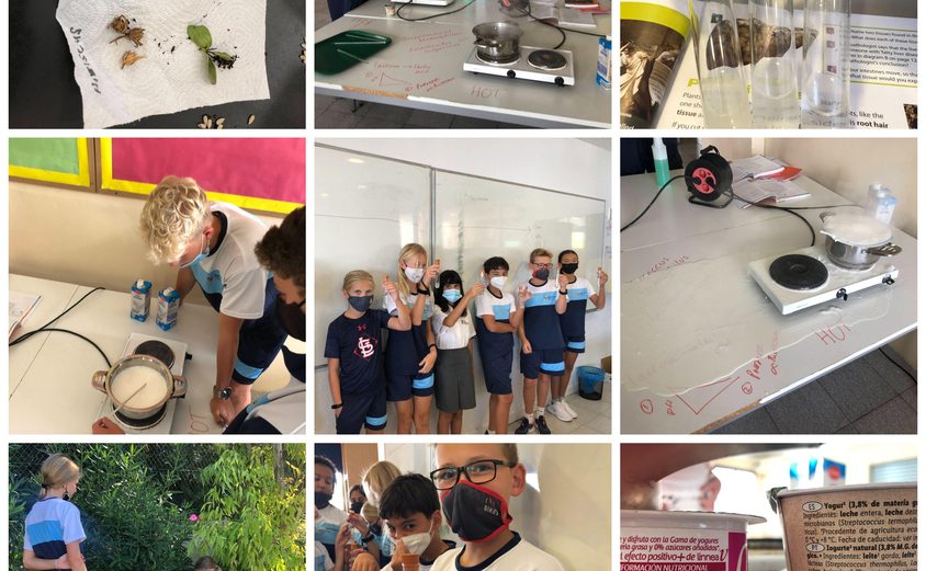 Be Funky collage 2021 09 24 T110812 427