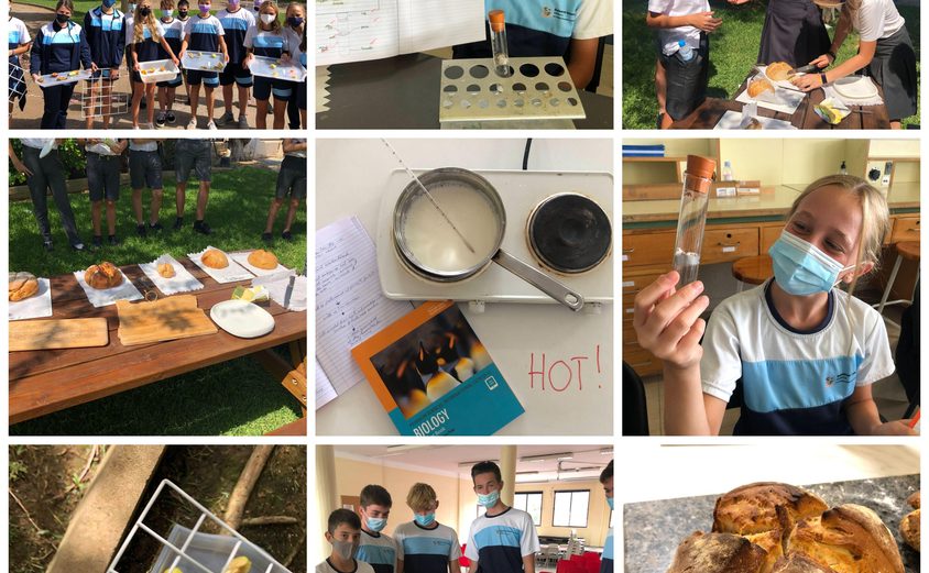 Be Funky collage 2021 09 24 T110928 095