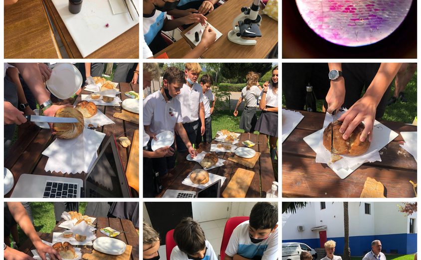 Be Funky collage 2021 09 24 T111035 108