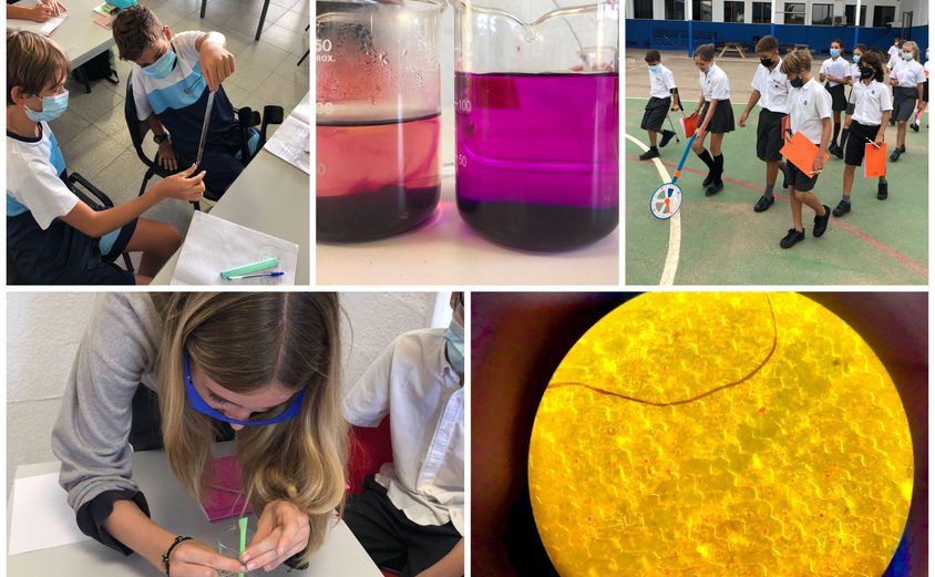 Be Funky collage 2021 09 24 T111221 194