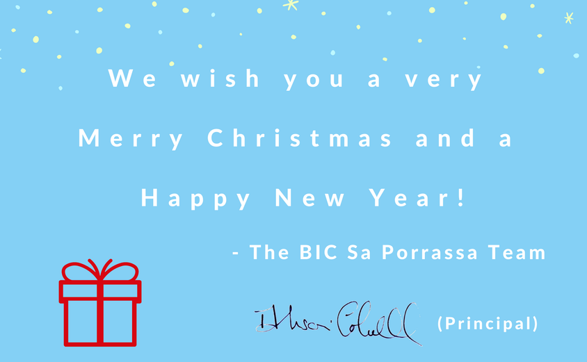 Red Snowy Seasons Greetings Christmas Greeting Card 5