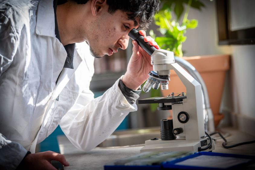 Sixth From student looking into a microscope