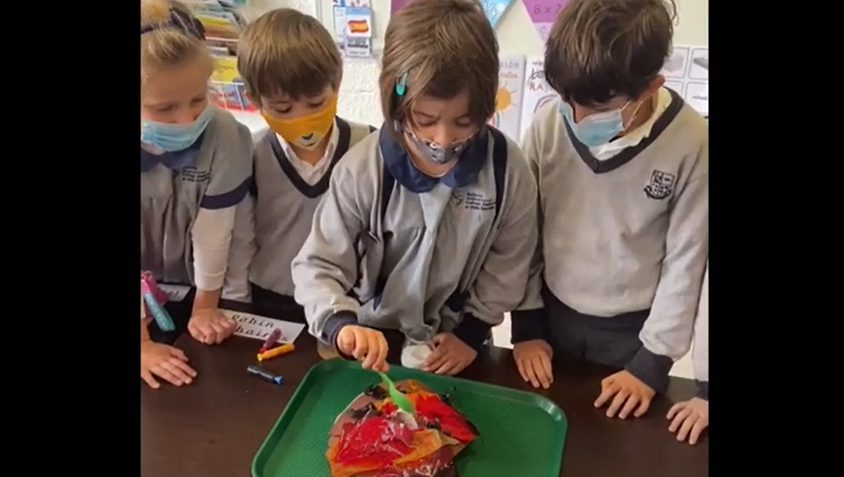 2022 03 25 11 53 53 Year 2 BIC Sa Porrassa You Tube