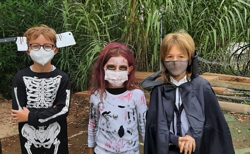 Whats App Image 2021 10 22 at 12 51 46 4