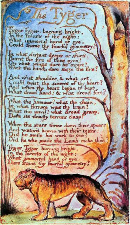 Image236